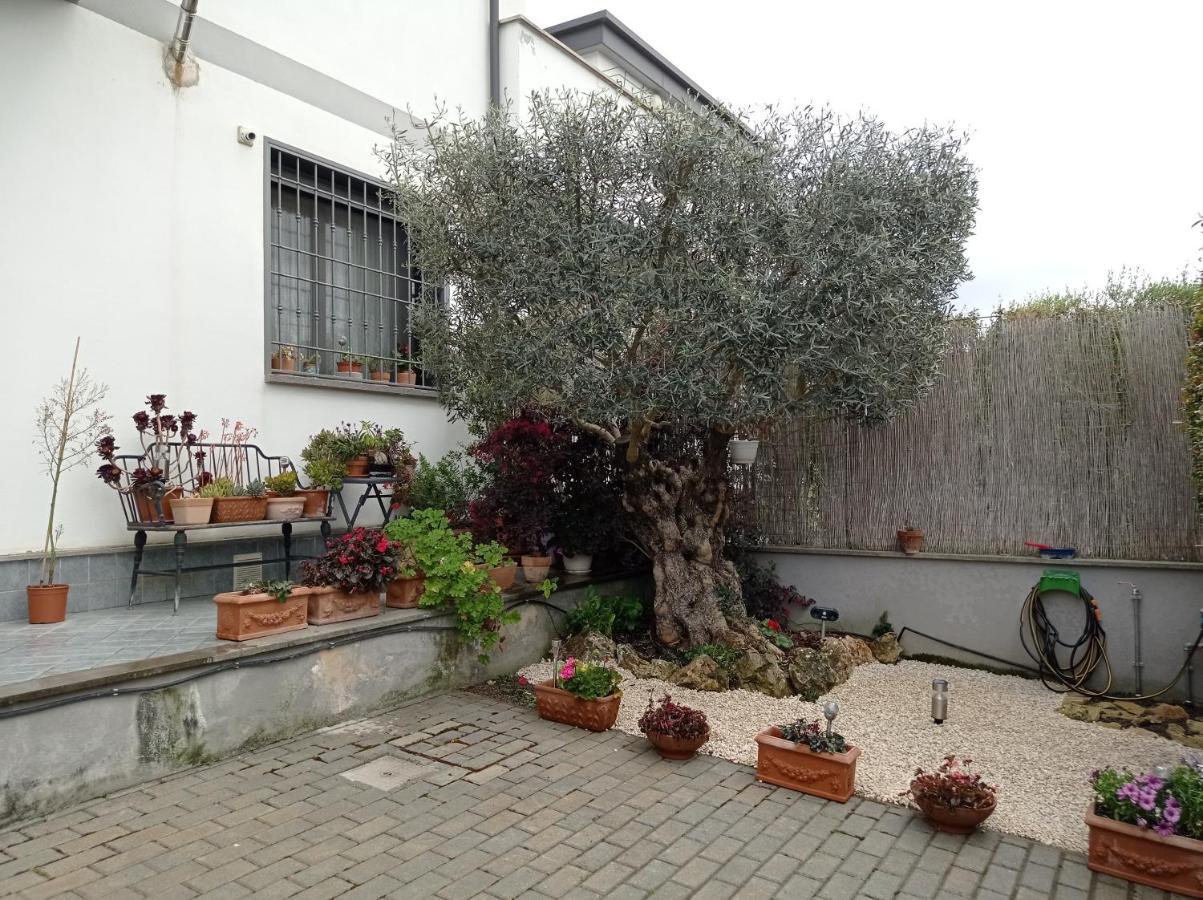 Villa Sogno Castel Fusano Exteriör bild